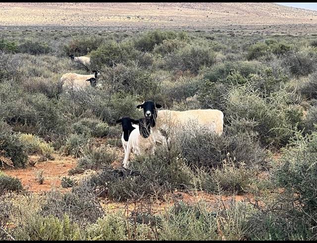 4,674HA FARM FOR SALE IN FRASERBURG RURAL